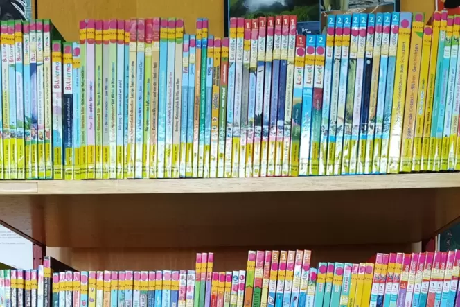 Für den Lesesommer hat die Stadtbibliothek Landau extra neue Bücher angeschafft.
