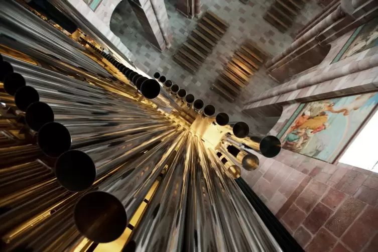 Die Speyerer Domorgel