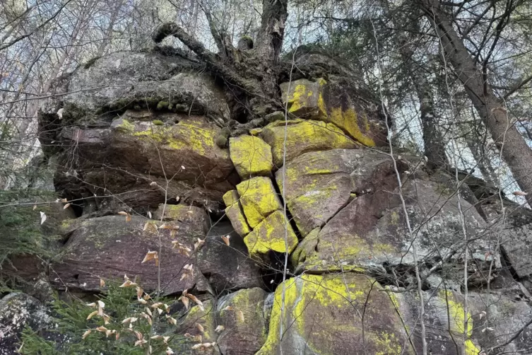 Mehrere Felsen in der Nachbarschaft sind ebenfalls von einer Flechte &uuml;berzogen, die den Felsen ein besonderes &Auml;u&szlig;eres verleiht. 
