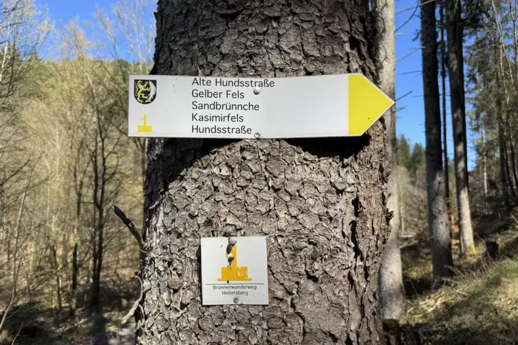 Zum Gelben Felsen geht&rsquo;s erst Mal den Berg hoch.