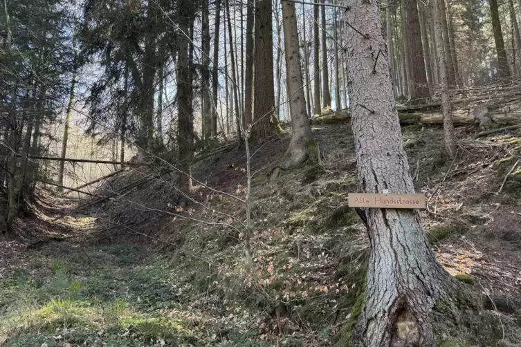 Hier f&uuml;hrte fr&uuml;her die &bdquo;Alte Hundsstra&szlig;e&ldquo; entlang. 