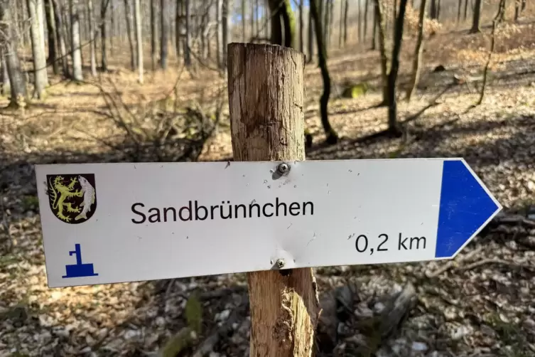 Wer will, kann den Hauptweg verlassen und durch den Wald zum Sandbr&uuml;nnchen. 