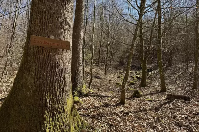 Am Sandbr&uuml;nnchen selbst braucht es etwas Fantasie, um die urspr&uuml;ngliche Form zu erkennen. 