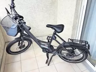 Farbe Iridium black, Größe 20 Zoll/S,Akku:Bosch Activ Line 500W, 8-Gang Nabenschaltung Shimano Nexus, Bord-Computer,4 Leistungss