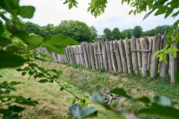 Limes in Rheinland-Pfalz