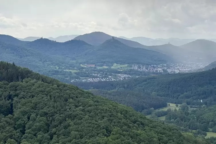 Die weite Aussicht &uuml;ber den Pf&auml;lzerwald ist ein beliebtes Fotomotiv.