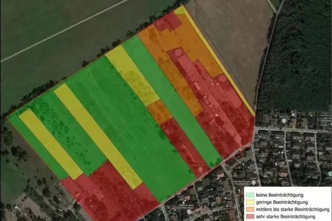 Laut einem Gutachten aus dem Jahr 2024 gibt es in der Birkenheider Bruchgewann 28 insbesondere auf jenen Grundstücken im Natura-