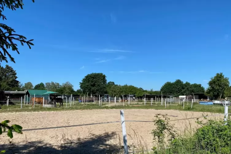 Im Birkenheider Natura-2000-Schutzgebiet gibt es mehrere Grundst&uuml;cke, auf denen Pferde gehalten werden.