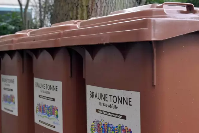 Bei der Befüllung der Biotonne sollte man im Sommer einiges beachten.