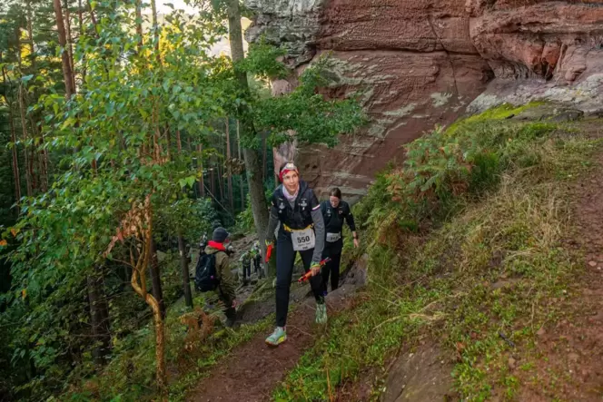 Der Waldmarathon lockt Jahr für Jahr mehr als 500 Wanderer und Läufer in die Verbandsgemeinde Hauenstein.