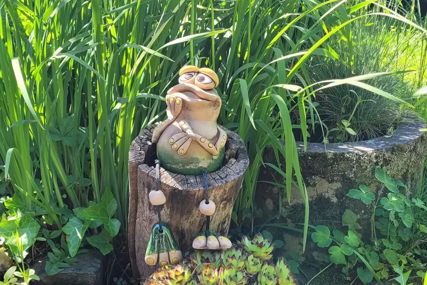 Dieser nachdenkliche Frosch sitzt in einem Garten in Breitenbach.