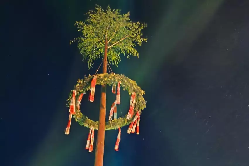 Zum Mai gehört natürlich auch der Maibaum. Dieser hier wurde in Rehweiler aufgestellt.