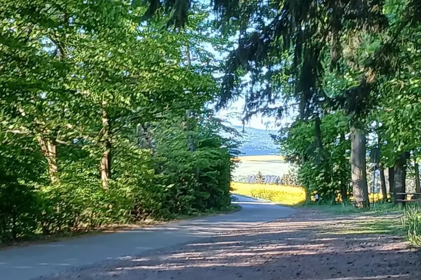 Ulrike Fritz-Emrich war an der PWV-Hütte am Weiher in Lauterecken unterwegs.