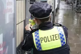 Ende 2021 tauchten in Hamburg Aufkleber mit dem Satz "Andy, Du bist so ein Pimmel" auf, die sich gegen den damaligen Innensenato