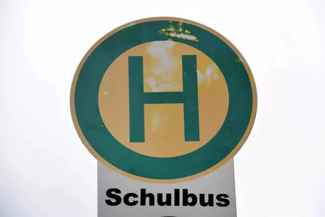 In der Vergangenheit fuhr der Bus zwischen Scheibenhardt und Berg nicht immer fahrplanmäßig.