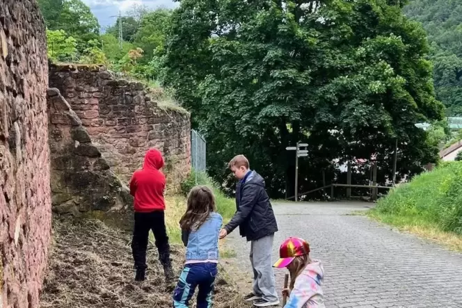 Schüler der Maria-Montessori-Schule haben am Garten der Hardenburg Blumen gesät.