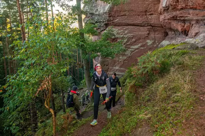 Beliebter Termin: Der Waldmarathon lockt Jahr für Jahr mehr als 500 Wanderer und Läufer in die Verbandsgemeinde Hauenstein.