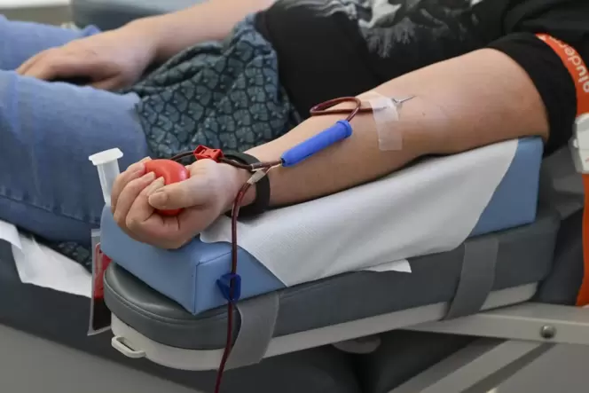 In Limburgerhof und Neuhofen kann diese Woche Blut gespendet werden.