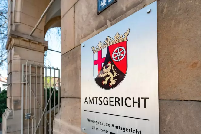 Der 18-jährige Speyerer soll mit einem Komplizen einen Mann in ein Gebüsch gelockt, ihn dort mit dem Tod bedroht und Geld, seine