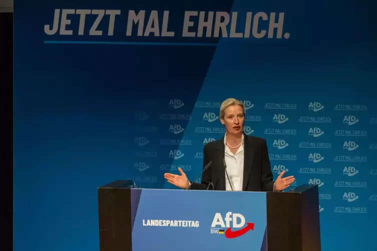 AfD-Landesparteitag Baden-Württemberg