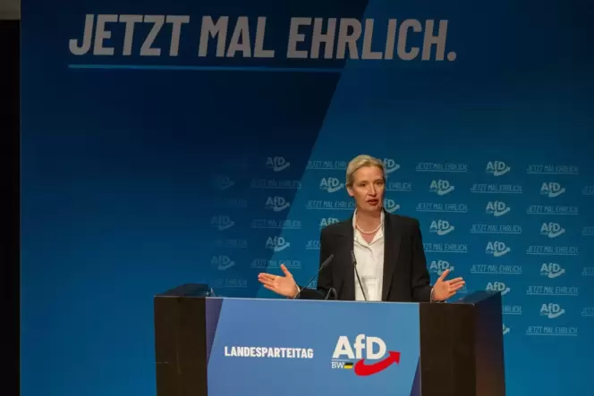 AfD-Landesparteitag Baden-Württemberg