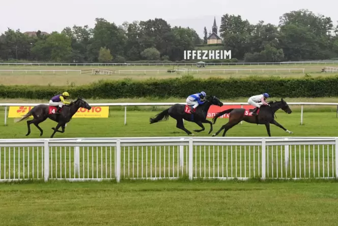 Galopp