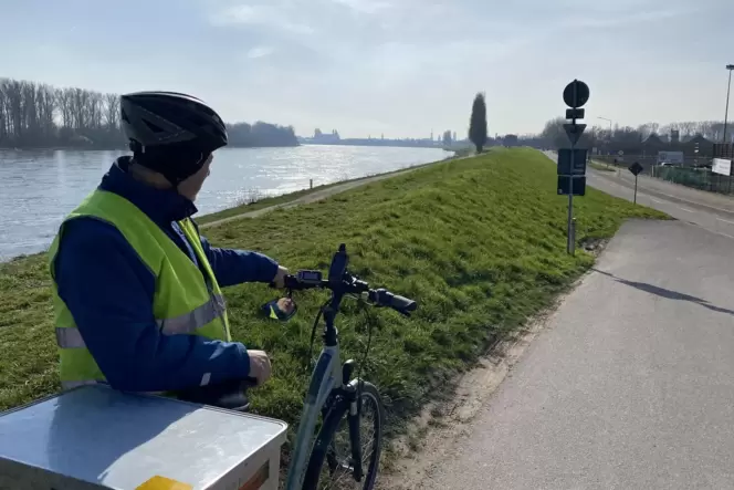 Deich im Speyerer Nordosten: Zugänge von der Franz-Kirrmeier-Straße sind bislang rar.