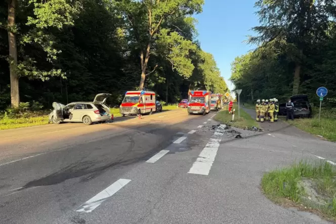 Die Straße zwischen Speyer und Böhl-Iggelheim war zeitweise voll gesperrt.