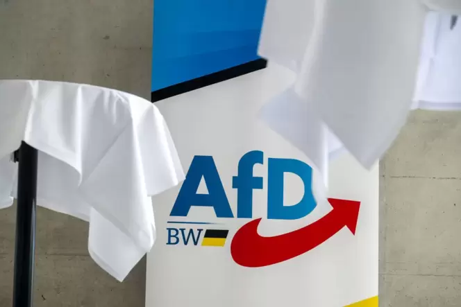 AfD-Landesparteitag Baden-Württemberg
