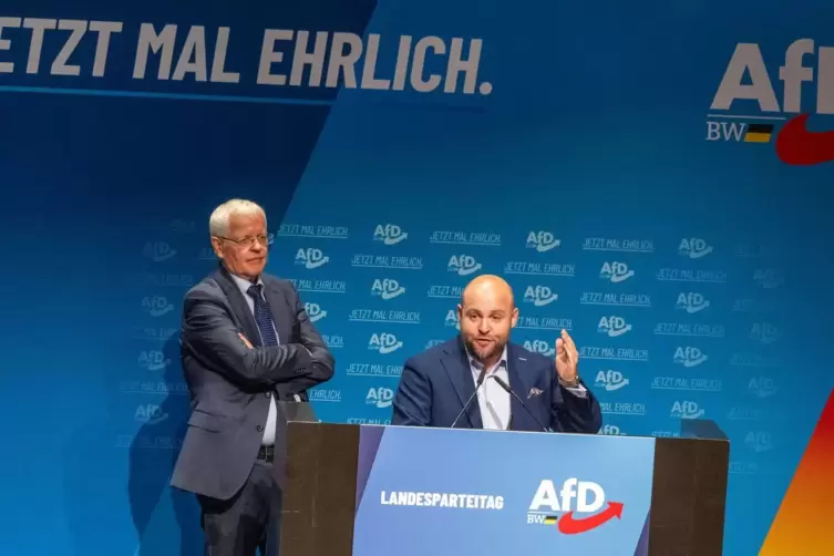 AfD-Landesparteitag Baden-W&uuml;rttemberg