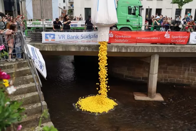 Tausende Rennenten werden an der Waffenstraße ins Wasser geworfen.
