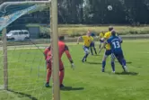 VfR Frankenthal (blau) gegen FSV Schifferstadt (gelb). 