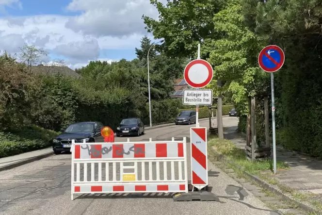 Ein paar Straßen werden in der Südpfalz in den kommenden Monaten gesperrt sein.