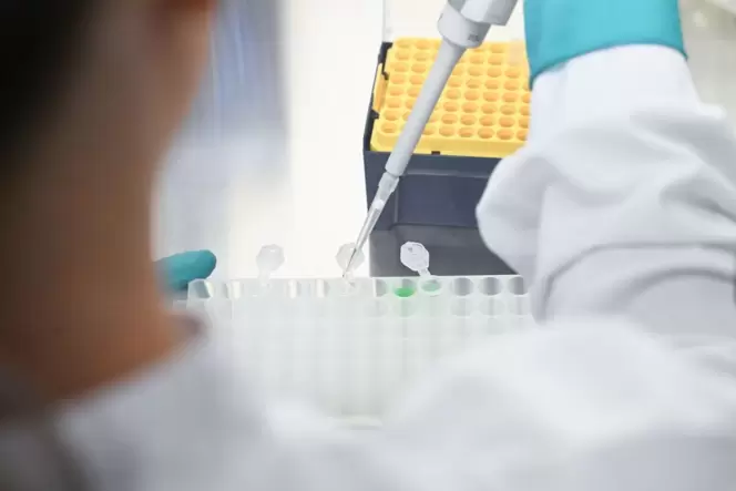 Biotech