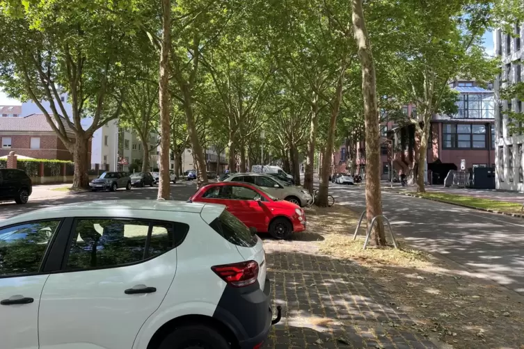 Seit die Geb&uuml;hren f&uuml;rs Parken in der Mannheimer Oststadt angehoben wurden, stehen offenbar h&auml;ufiger Parkpl&auml;tze leer.