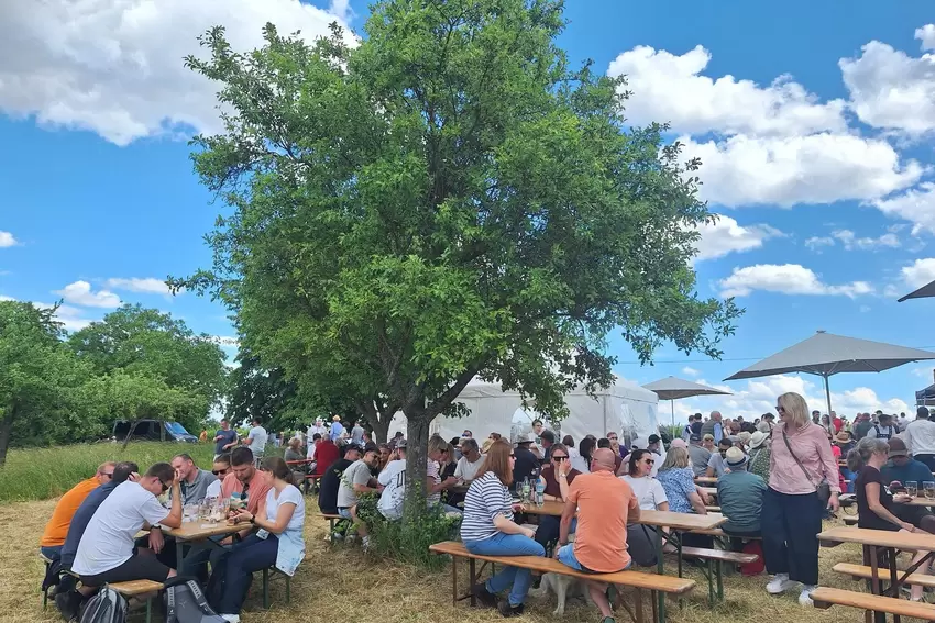 Unter Bäumen: Besucher der Grünstadter Weinbergwanderung.