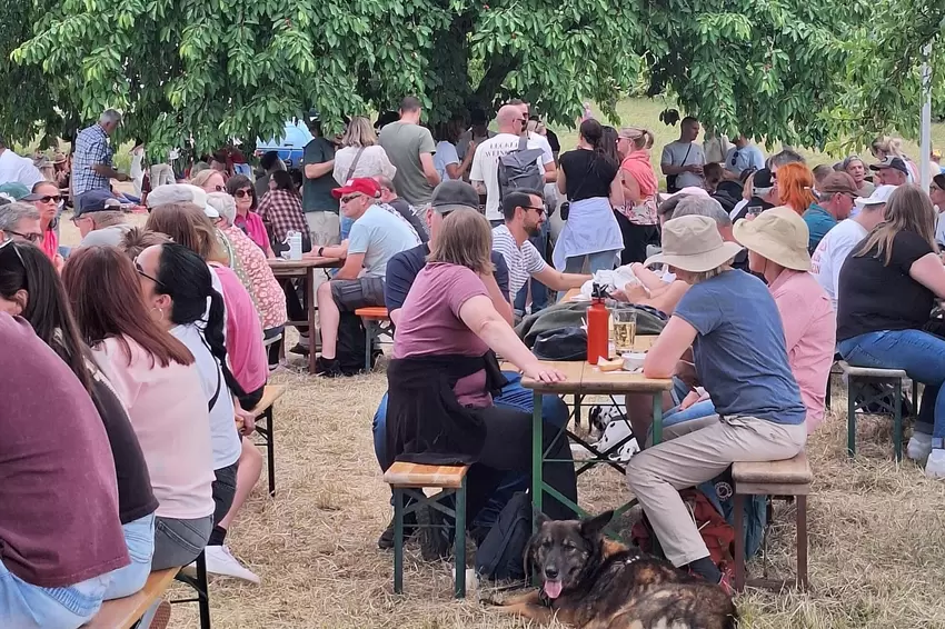 Unter Bäumen: Besucher der Grünstadter Weinbergwanderung.