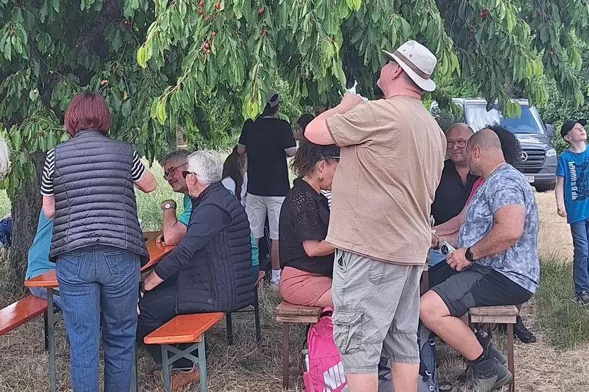 Unter Bäumen: Besucher der Grünstadter Weinbergwanderung.