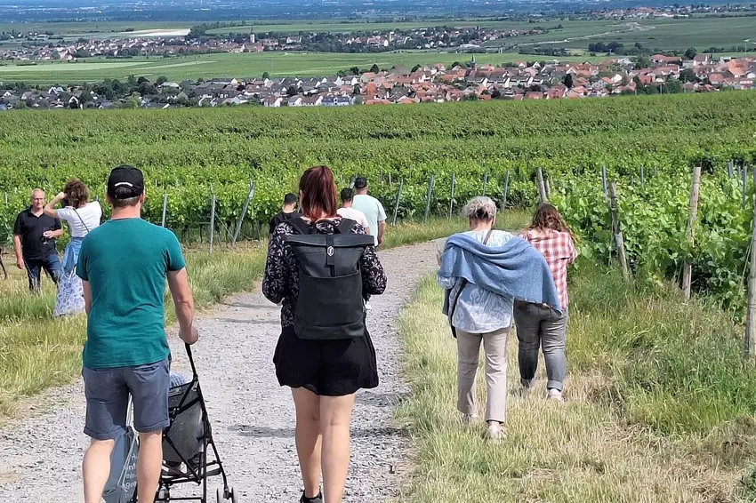 Wandern und genießen: Die Strecke ist 5,5 Kilometer lang.