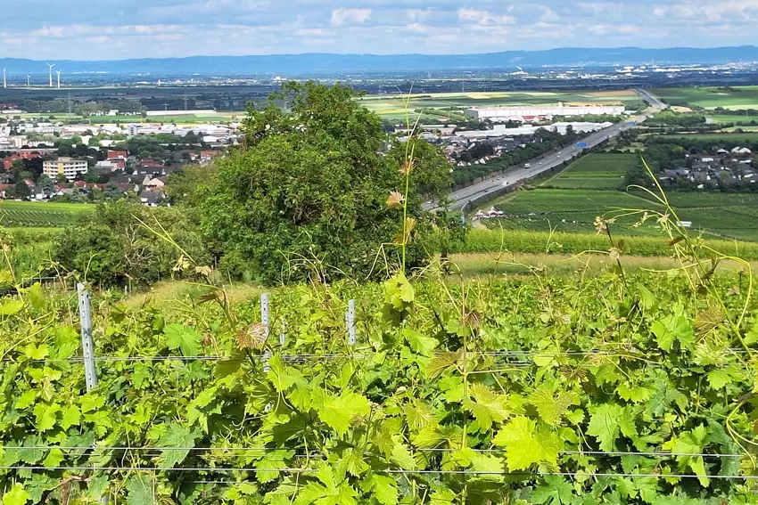 Bestes Fernblick-Wetter: Höllenpfad-Wanderung 2026.