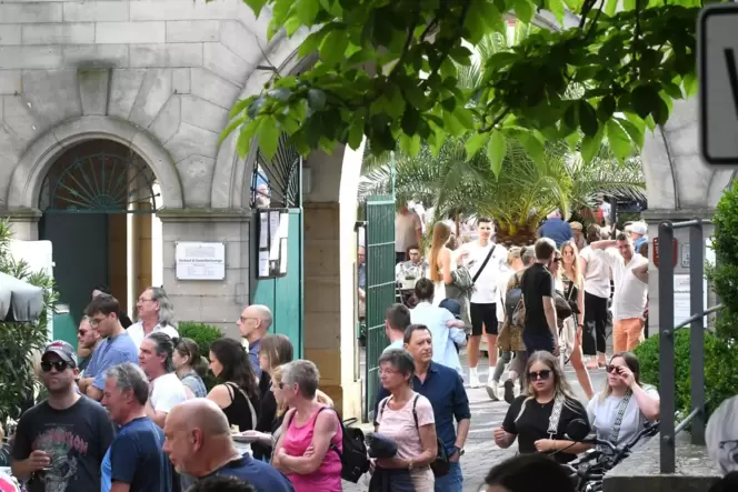 Rückblick aufs Burg- und Weinfest in Wachenheim 2024.