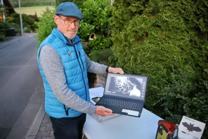 Die Pollichia-Kreisgruppe Kusel hat am Freitagabend in Bedesbach Fledermäuse gezählt. Der Rechner der Gruppe, Ralf Hellwig, zeig
