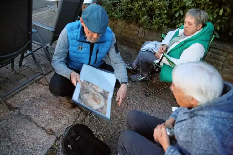 Ralf Hellwig zeigt den Teilnehmerinnen der Fledermausz&auml;hlung Fotos vom Gro&szlig;en Mausohr. 