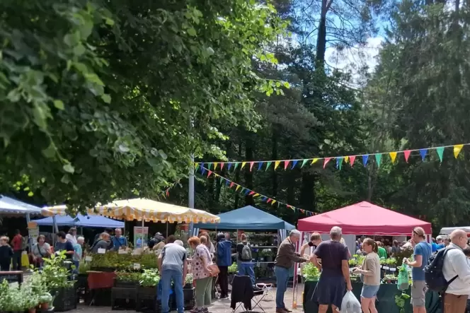 Am Sonntag wurden bei bestem Wetter auf dem Hauensteiner Kräutermarkt am Grillplatz der größte Besucherandrang registriert.