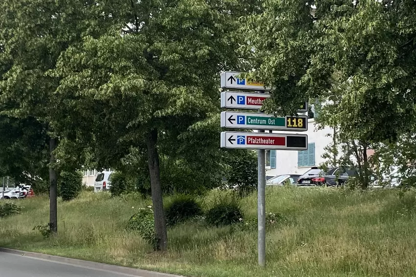 Zugewachsen: der Schilderbaum in der Ludwigstraße.