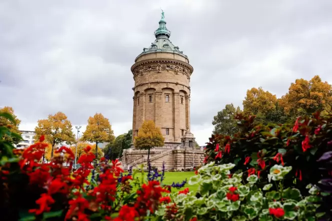 Mannheim
