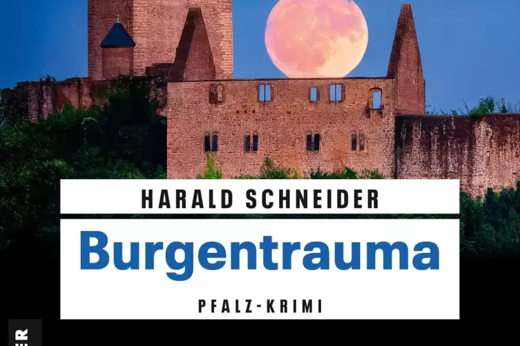 Das Cover von Palzki-Krimi Nummer 26. 
