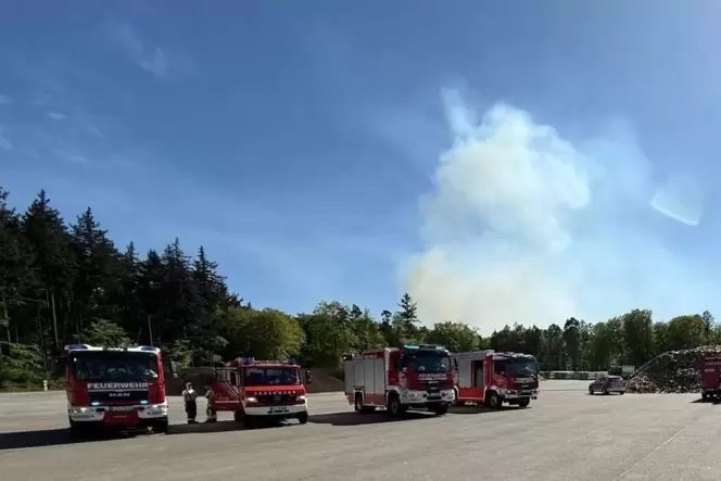 Vor einigen Wochen hat der Wald in der Nähe des ZAK-Geländes gebrannt.