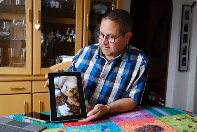 Julian Danner dokumentiert das Wachsen der Turmfalken unterm Dach mit Fotos und Videos.