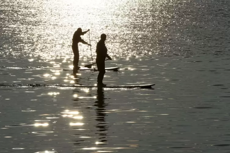 Stand Up Paddling / Herbststimmung am Bodensee
